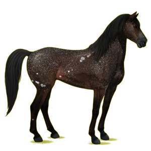 Riding pegasus Mustang Dark Bay