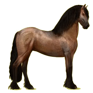 Riding Horse Friesian Black