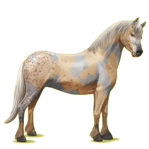 Pony Quarter Pony Palomino Tobiano