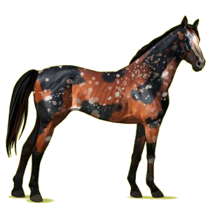 Riding pegasus Thoroughbred Strawberry roan