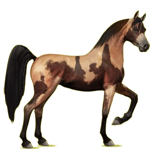 Riding pegasus Arabian Horse Light Gray