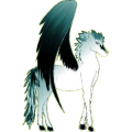 Riding pegasus Arabian Horse Chestnut