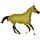 Riding Horse Irish Hunter Dapple Gray