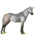 Unicorn pony Welsh Light Gray