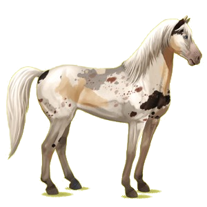 Riding Horse Mustang Light Gray