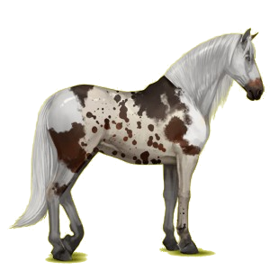 Riding Horse Purebred Spanish Horse Light Gray