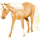 Riding Horse Quarter Horse Palomino