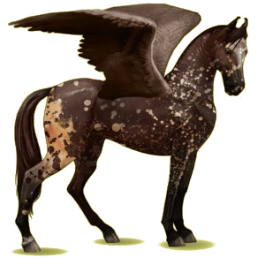 Riding pegasus Marwari Light Gray