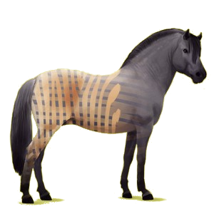 Pony Fjord Brunblakk