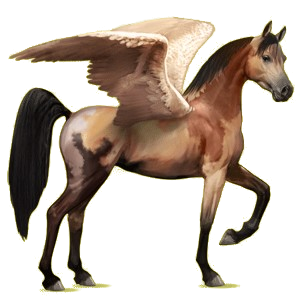 Riding pegasus Arabian Horse Cherry bay