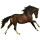 Riding Horse Thoroughbred Cremello
