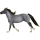 Riding Horse Purebred Spanish Horse Cremello