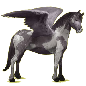 Pegasus pony Connemara Dapple Gray