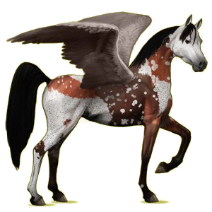 Riding pegasus Arabian Horse Light Gray