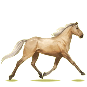 Riding Horse Hackney Bay