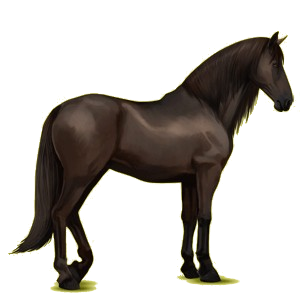 Riding Horse Purebred Spanish Horse Dapple Gray