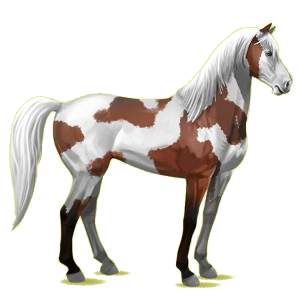 Riding Horse Mustang Chestnut