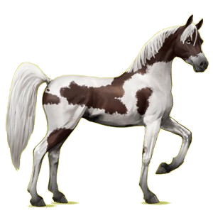Riding pegasus Arabian Horse Light Gray
