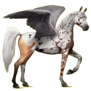 Riding pegasus Arabian Horse Cherry bay