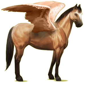 Riding pegasus Paint Horse Bay Tovero 