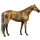 Riding Horse Brumby Flaxen Chestnut 