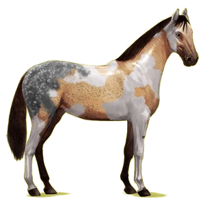 Riding Horse Irish Hunter Chestnut