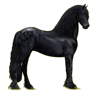 Riding pegasus Friesian Black