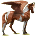 Riding pegasus Chestnut Tobiano