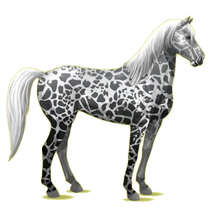 Riding Horse Mustang Few Spots