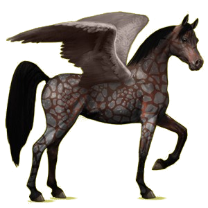 Riding pegasus Arabian Horse Dun