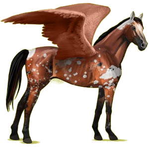 Riding pegasus Thoroughbred Roan