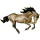Riding pegasus Thoroughbred Dark Bay