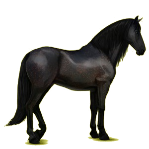 Riding Horse Purebred Spanish Horse Black