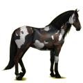 Riding Horse Purebred Spanish Horse Light Gray
