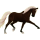Riding pegasus Thoroughbred Liver chestnut