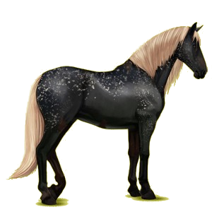 Riding Horse Purebred Spanish Horse Dapple Gray