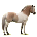 Pony Fjord Brunblakk