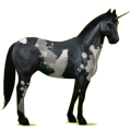 Riding unicorn Black