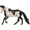 Riding Horse Paint Horse Black Overo