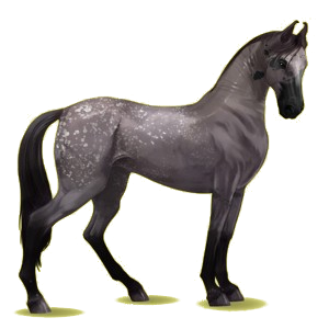 Riding pegasus Marwari Light Gray