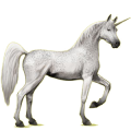 Riding unicorn Light Gray