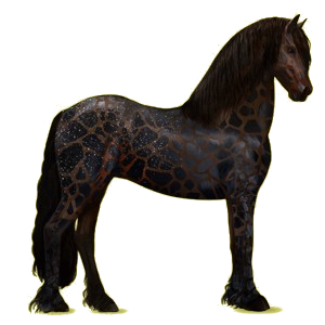 Riding Horse Friesian Black