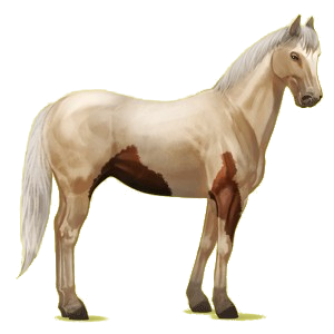 Riding pegasus Paint Horse Black Overo