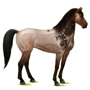 Riding pegasus Mustang Bay