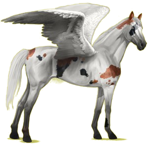 Riding pegasus Thoroughbred Cherry bay