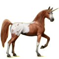 Riding unicorn Arabian Horse Chestnut