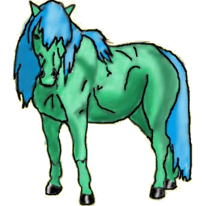 Riding Horse Appaloosa Black Leopard 