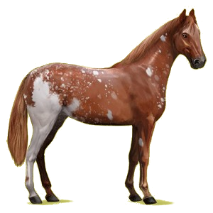 Riding pegasus Irish Hunter Dapple Gray