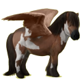 Pegasus pony Bay