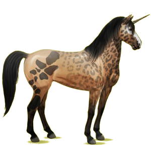 Riding unicorn Mustang Bay